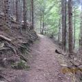 Img 5917