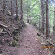 Img 5917