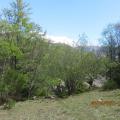 Img 5918