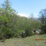 Img 5918