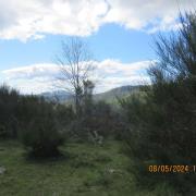 Img 5919