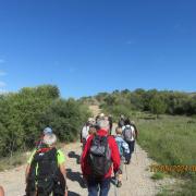 Img 5964