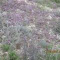 Img 5967