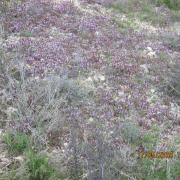 Img 5967
