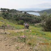 Img 5998
