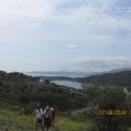 Img 5999