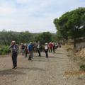 Img 6179