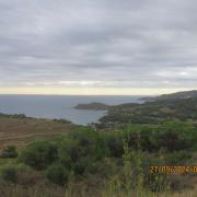Img 6199