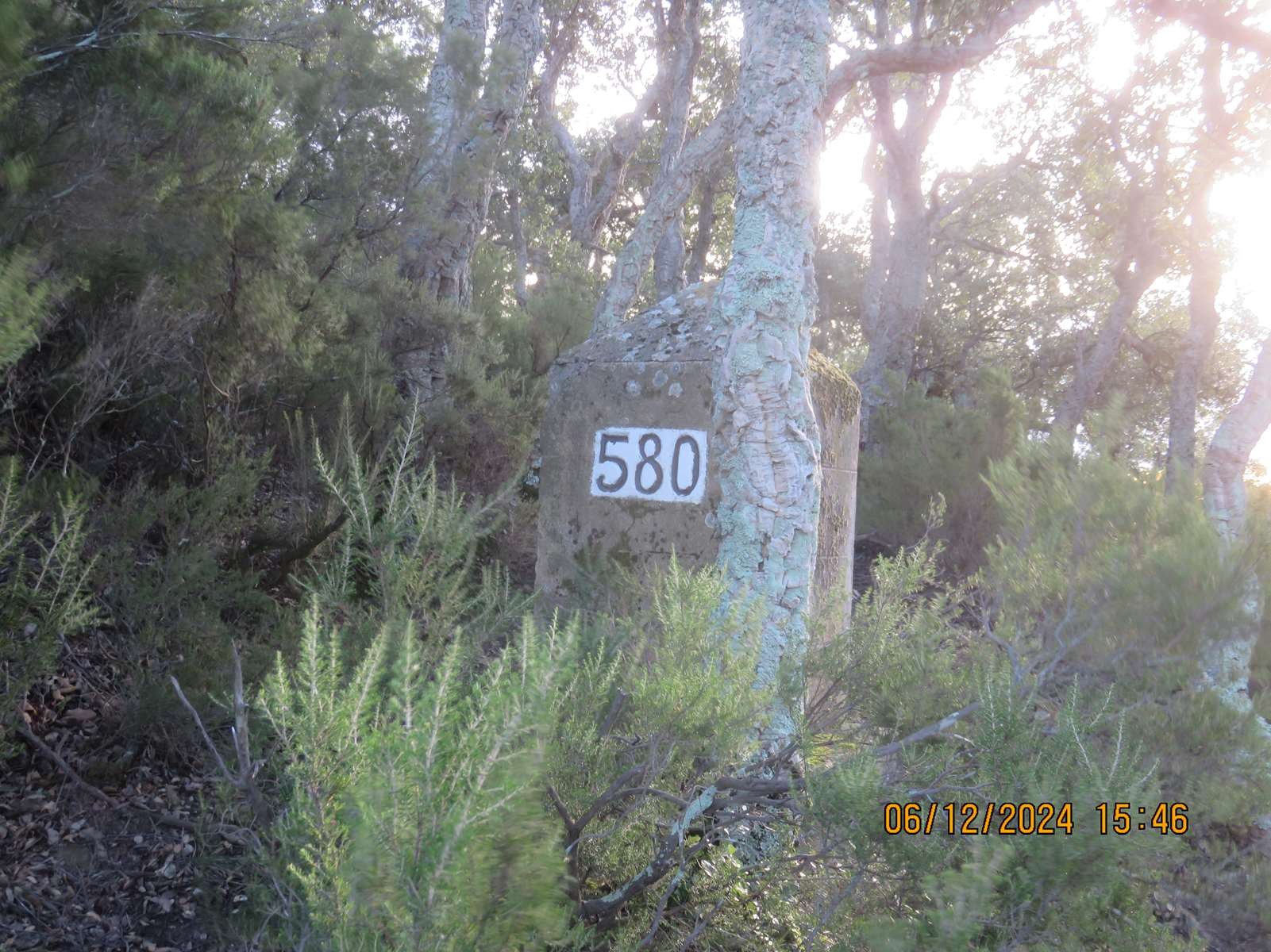 Img 6606