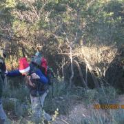 Img 6642