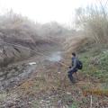 Img 6682