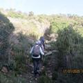 Img 6714