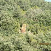 Img 6719