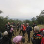 Img 6776