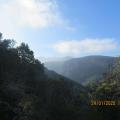 Img 6777