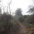 Img 6851