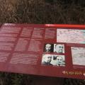 Img 6852