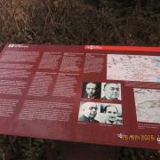 Img 6852