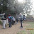 Img 6853