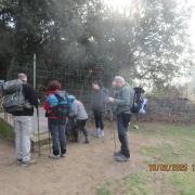 Img 6853