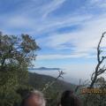 Img 6855
