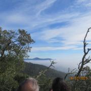 Img 6855