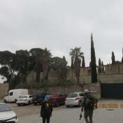 Img 6883
