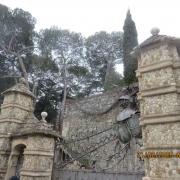 Img 6884