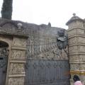 Img 6885