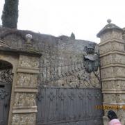 Img 6885