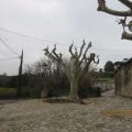 Img 6886