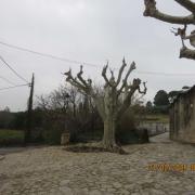 Img 6886