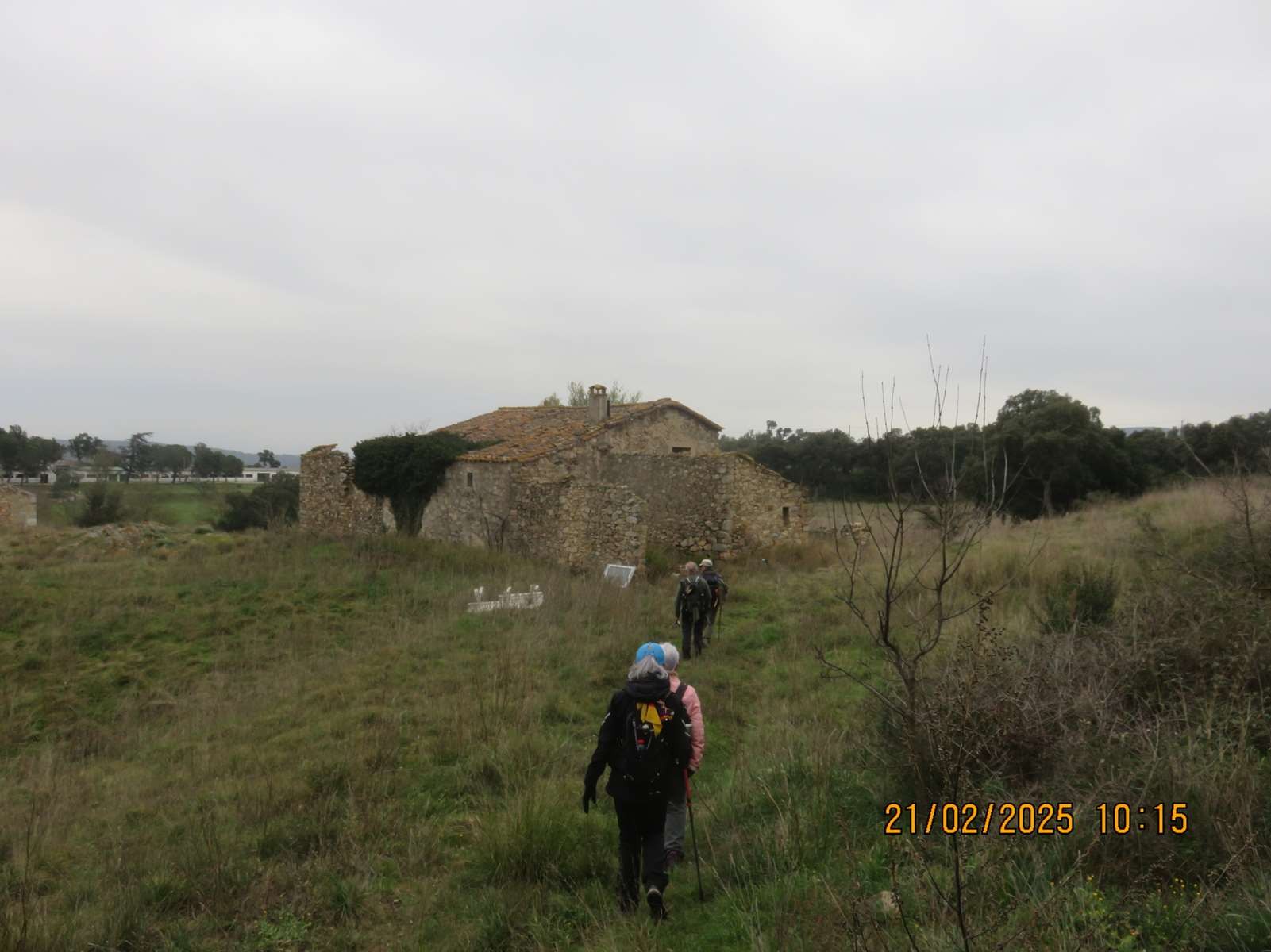 Img 6889