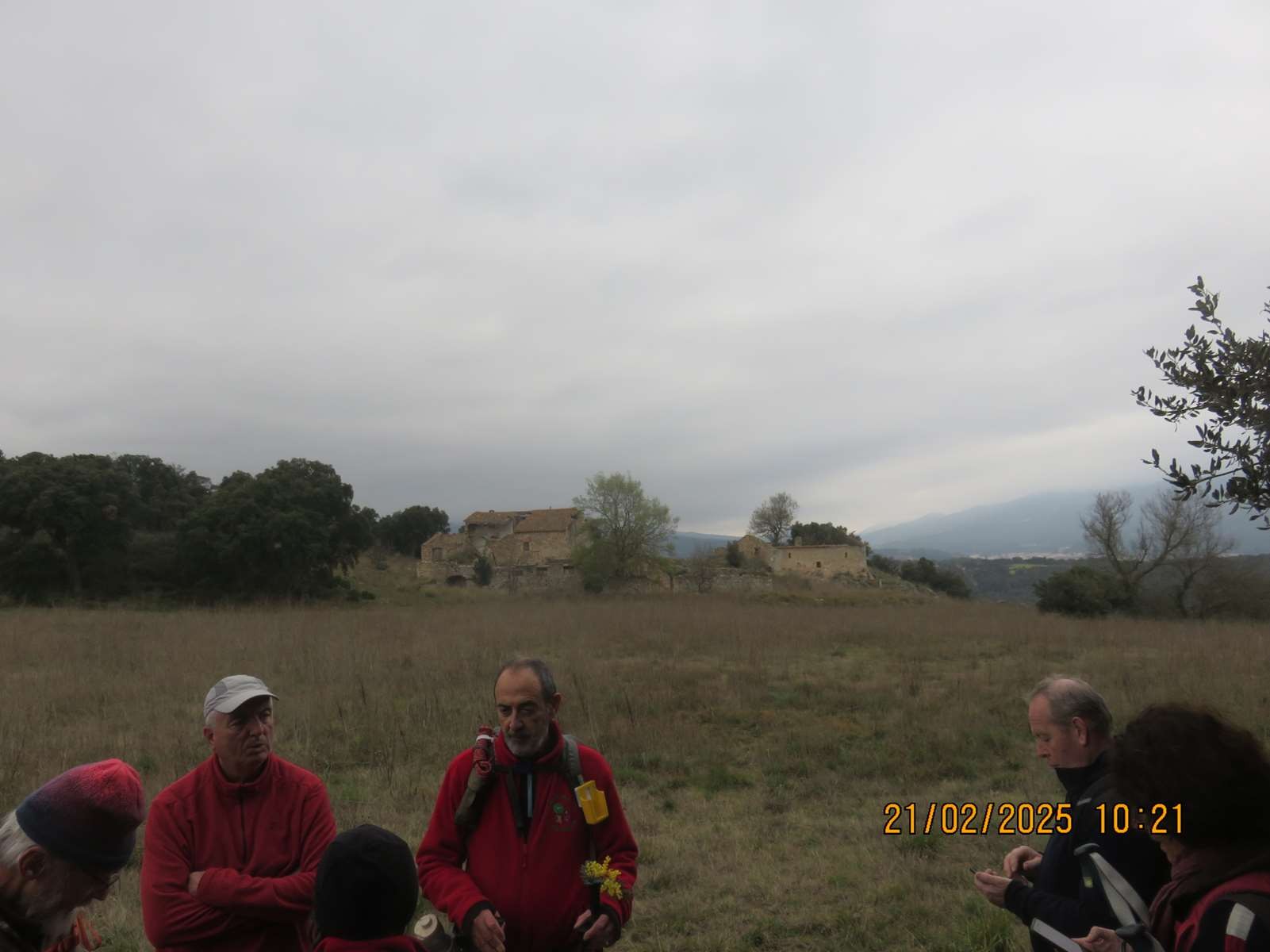 Img 6890