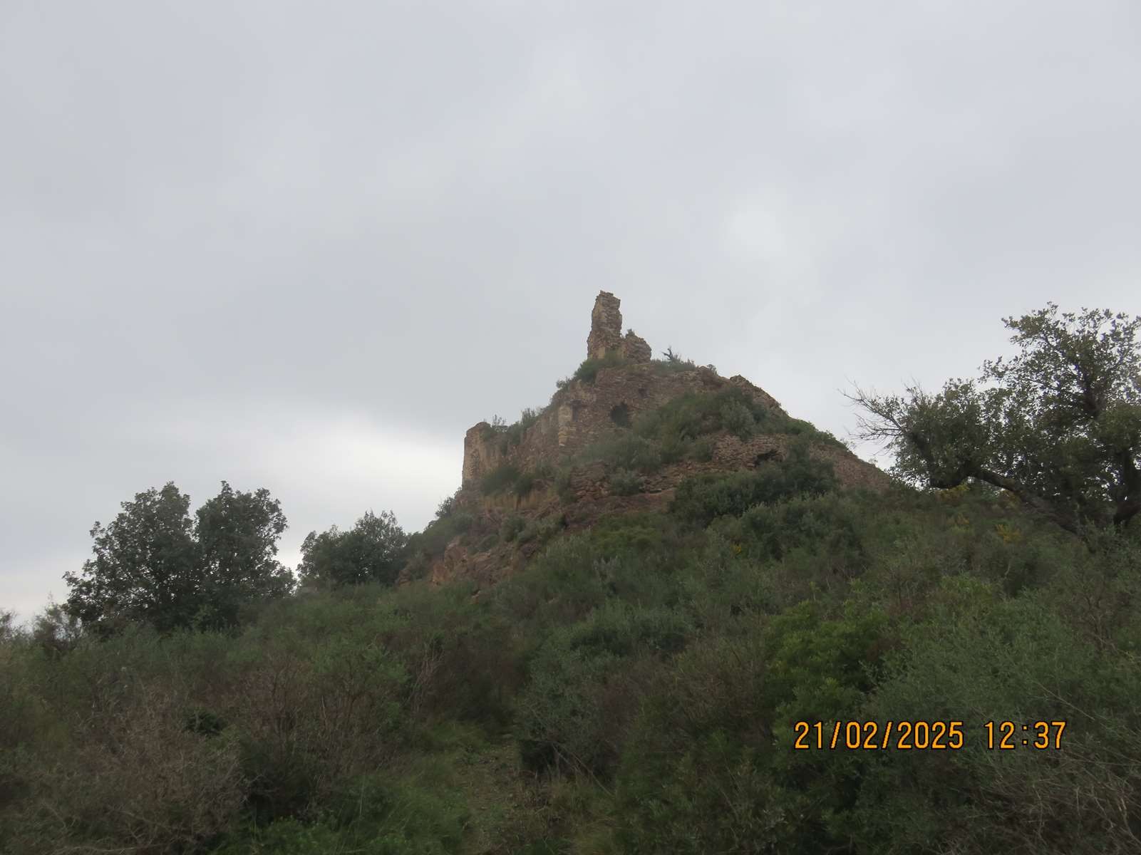 Img 6897