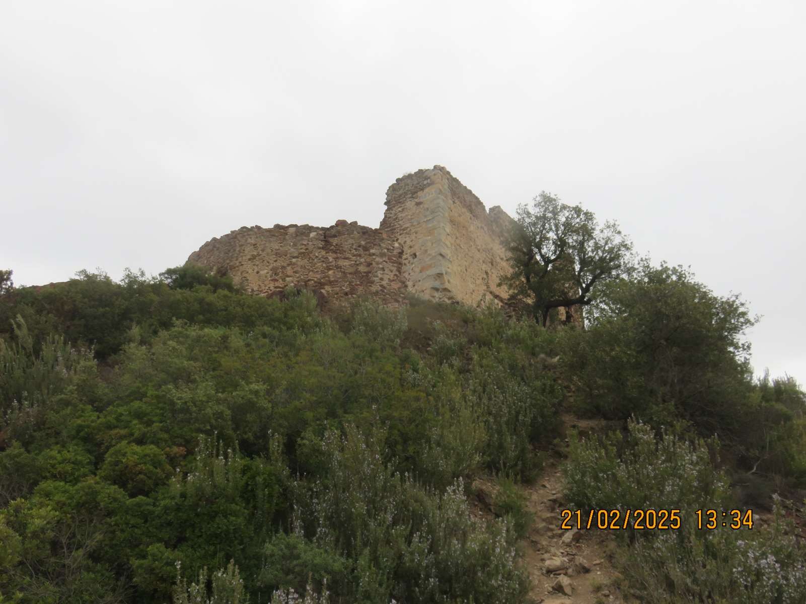 Img 6899