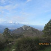 Img 6907