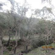 Img 6934