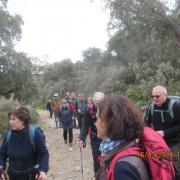 Img 6935