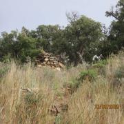 Img 6936