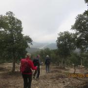 Img 7033