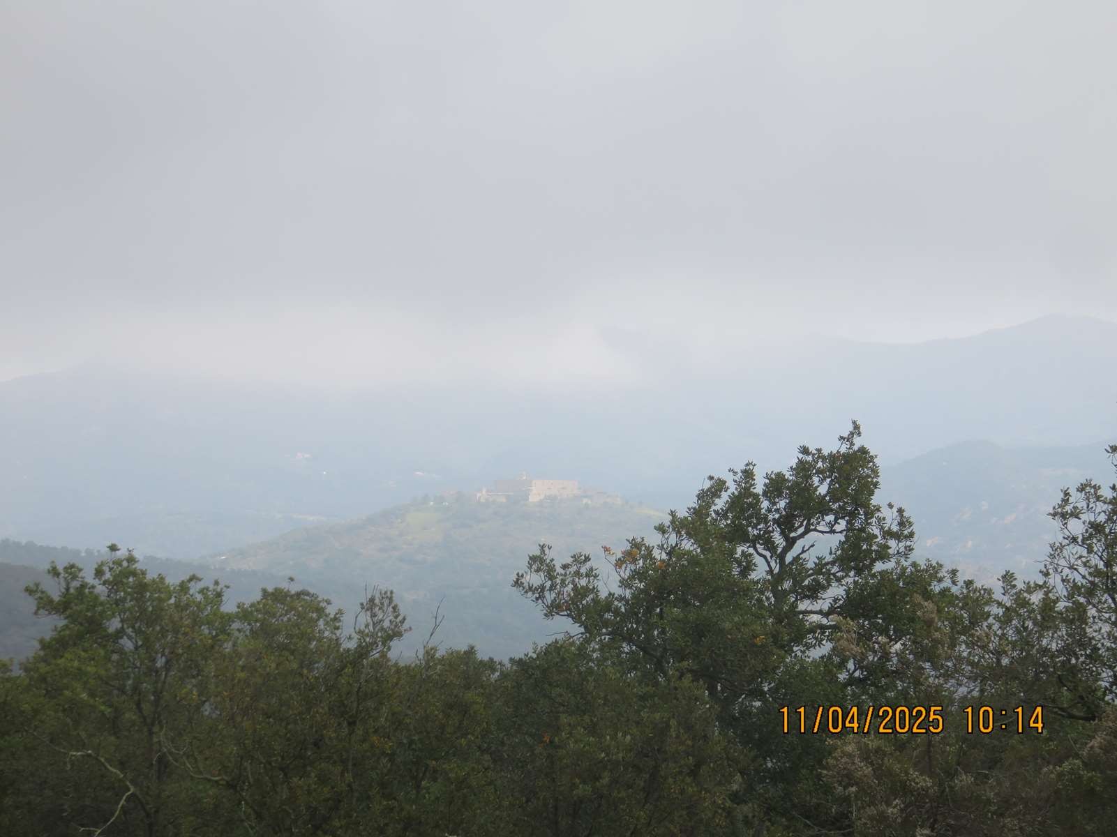 Img 7039