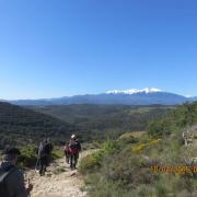 Img 7058