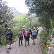 Img 7080