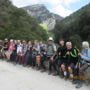 Img 7081