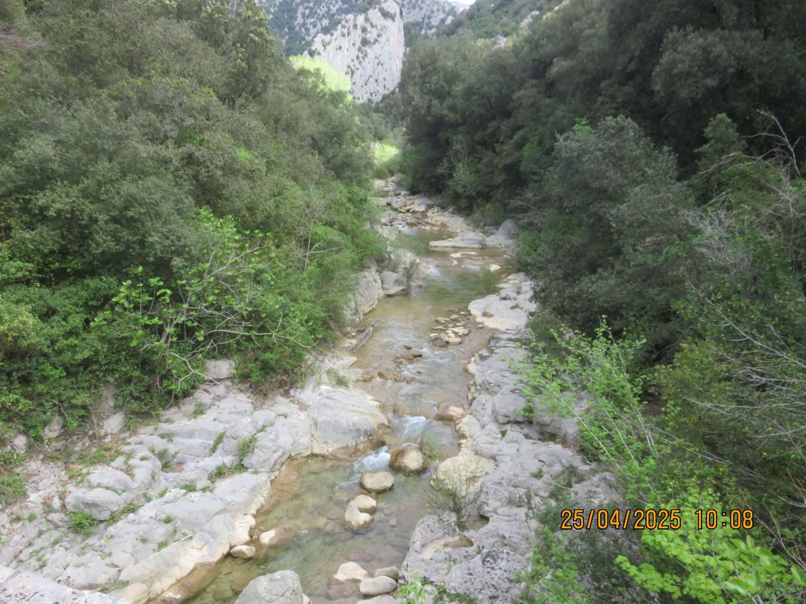 Img 7083