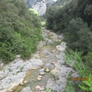 Img 7083
