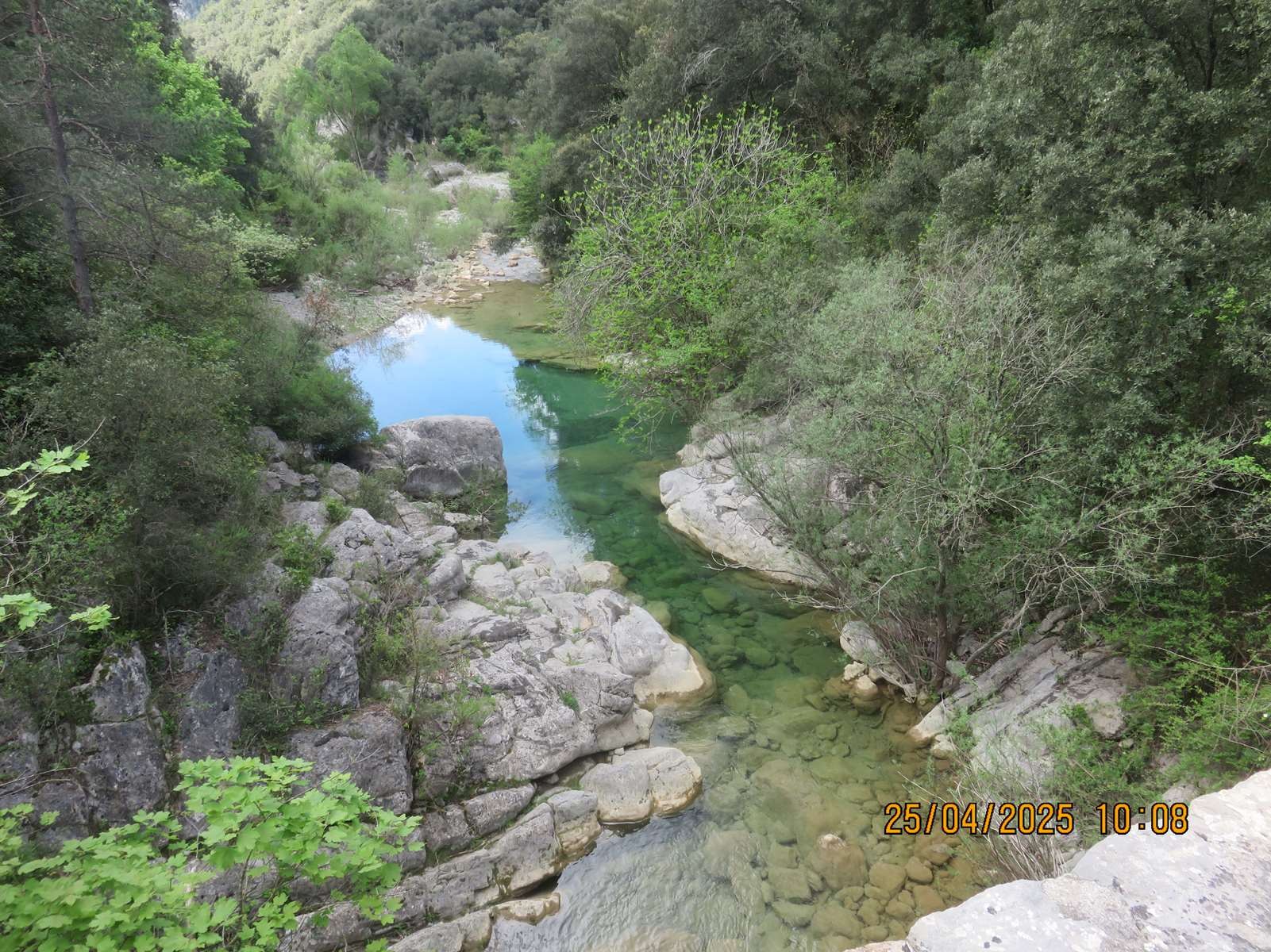 Img 7084