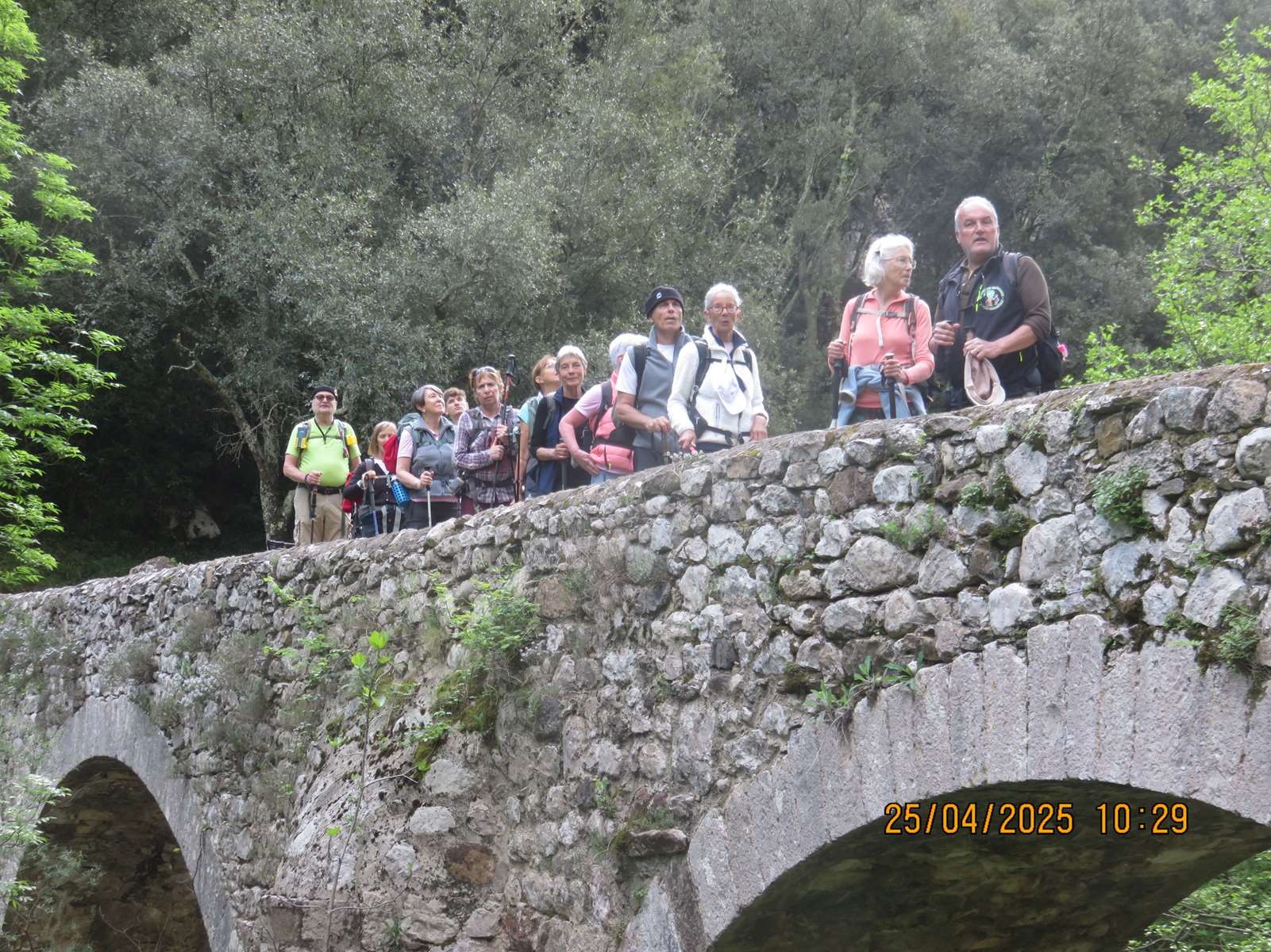 Img 7092