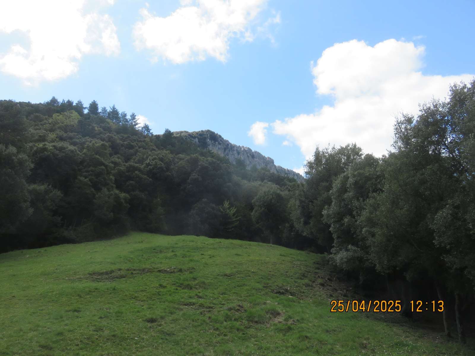 Img 7095